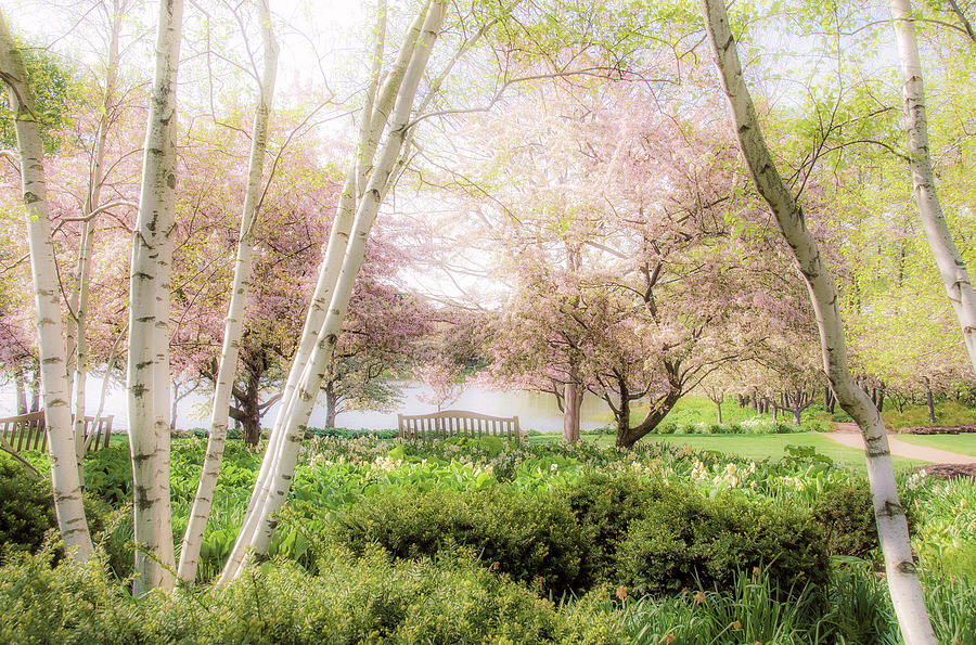Spring Photograph - Spring in the Garden by Julie Palencia