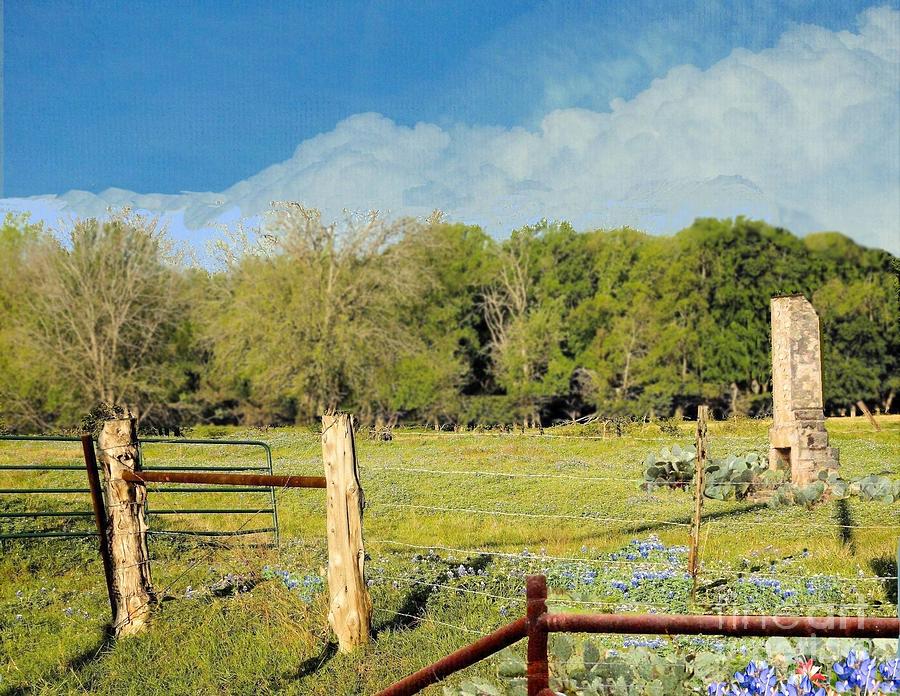 Spring in the Hill Country of Texas Photograph by Janette Boyd