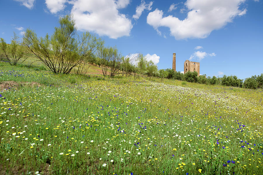 Spring in the mining area of Linares Photograph by RicardMN Photography