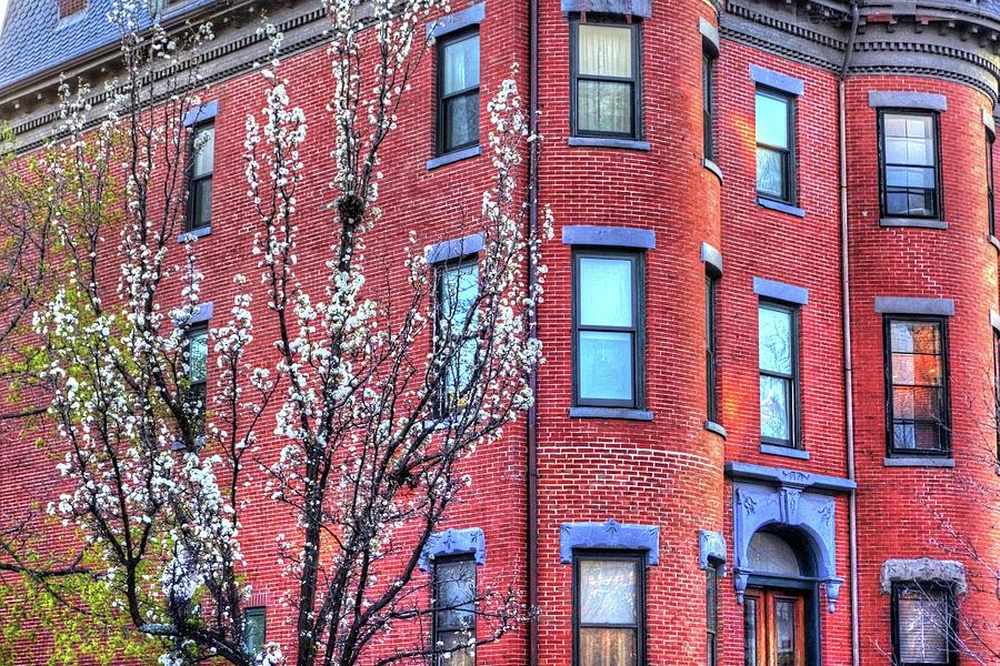 Spring in the South End Boston MA Photograph by Toby McGuire