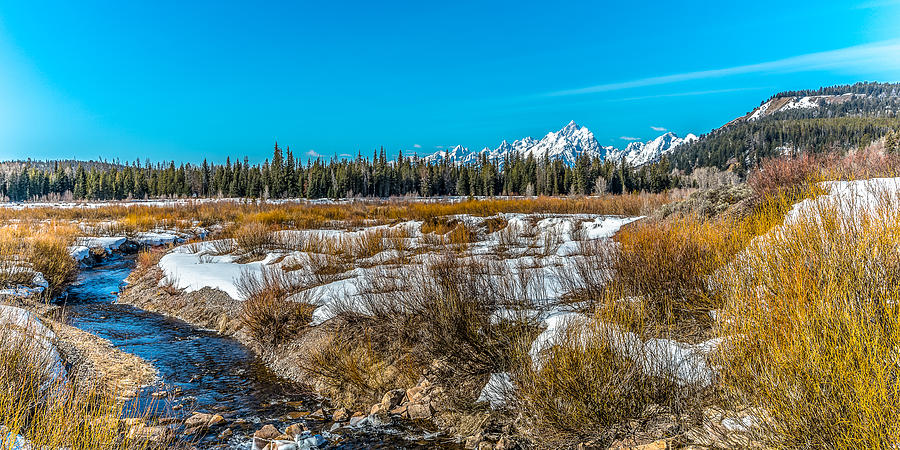 Spring In The Tetons Photograph by Yeates Photography