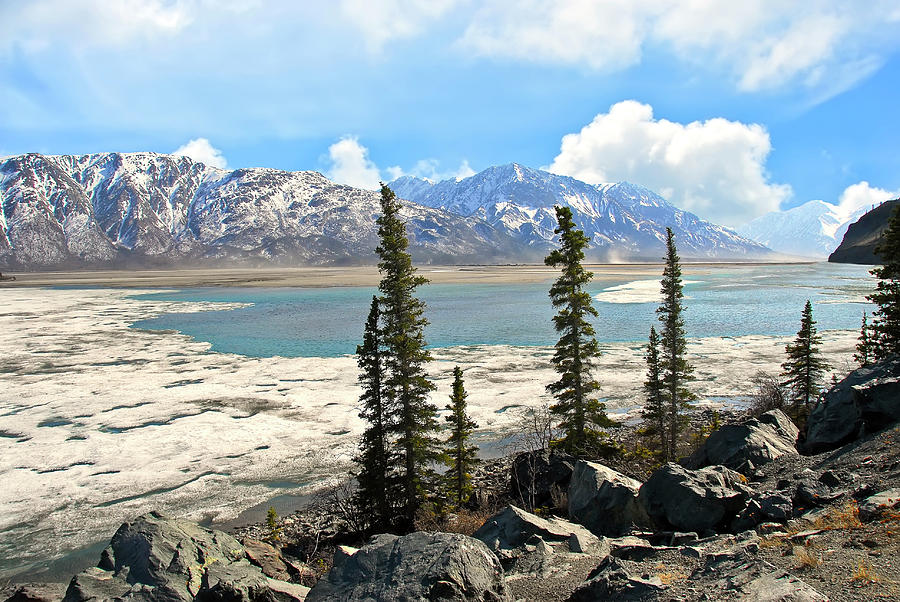 Spring in the Wrangell Mountains Photograph by Patrick Wolf
