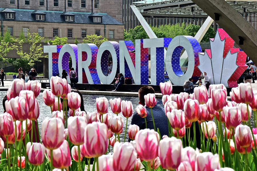 Spring In Toronto Photograph