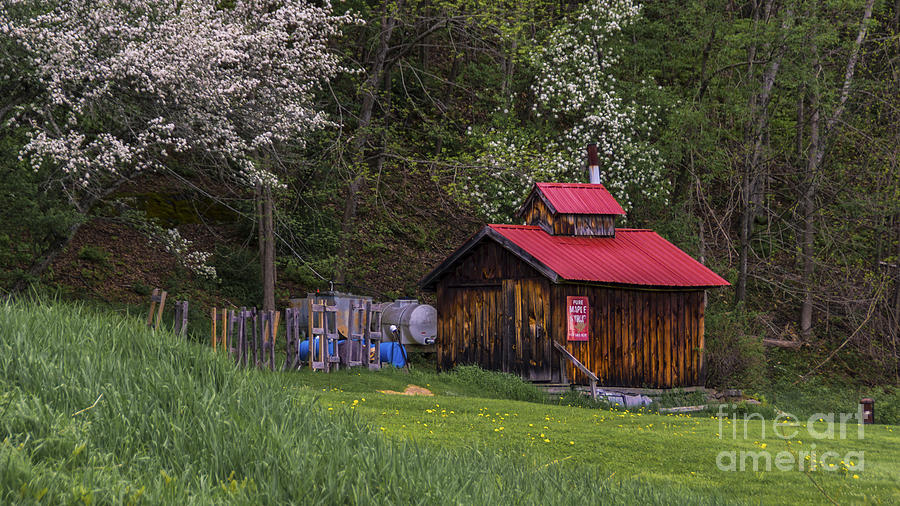 Spring in Vermont Photograph by Scenic Vermont Photography