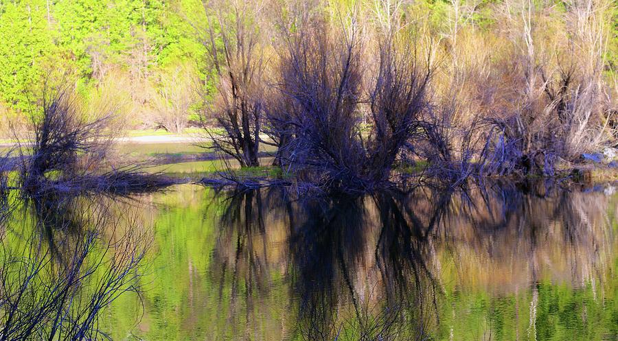 Spring in Yosemite Reflection Photograph by Polly Castor