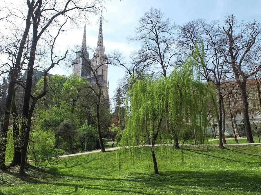 Spring Photograph - Spring In Zagreb City by Olga Kurygina Spring Photograph - Spring In Zagreb City by Olga Kurygina