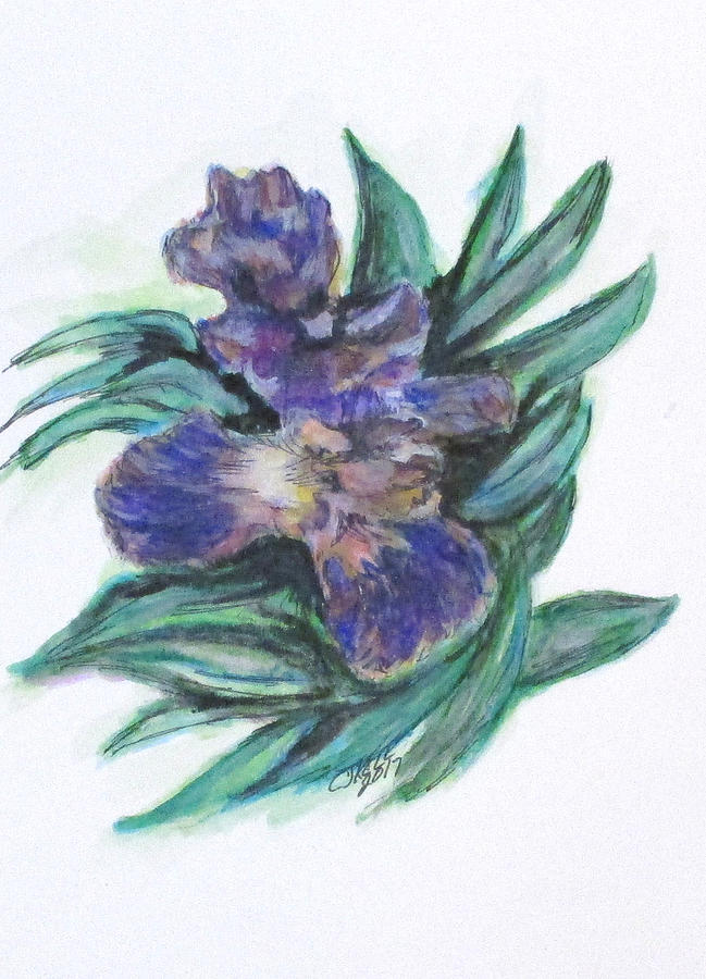 Spring Iris Bloom Painting by Clyde J Kell
