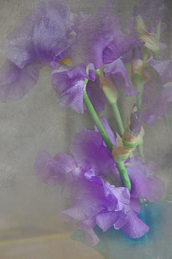 Spring Iris Bouquet Photograph by Jeff Burgess - Fine Art America