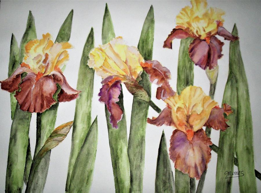 Spring Iris Painting by Carol Grimes