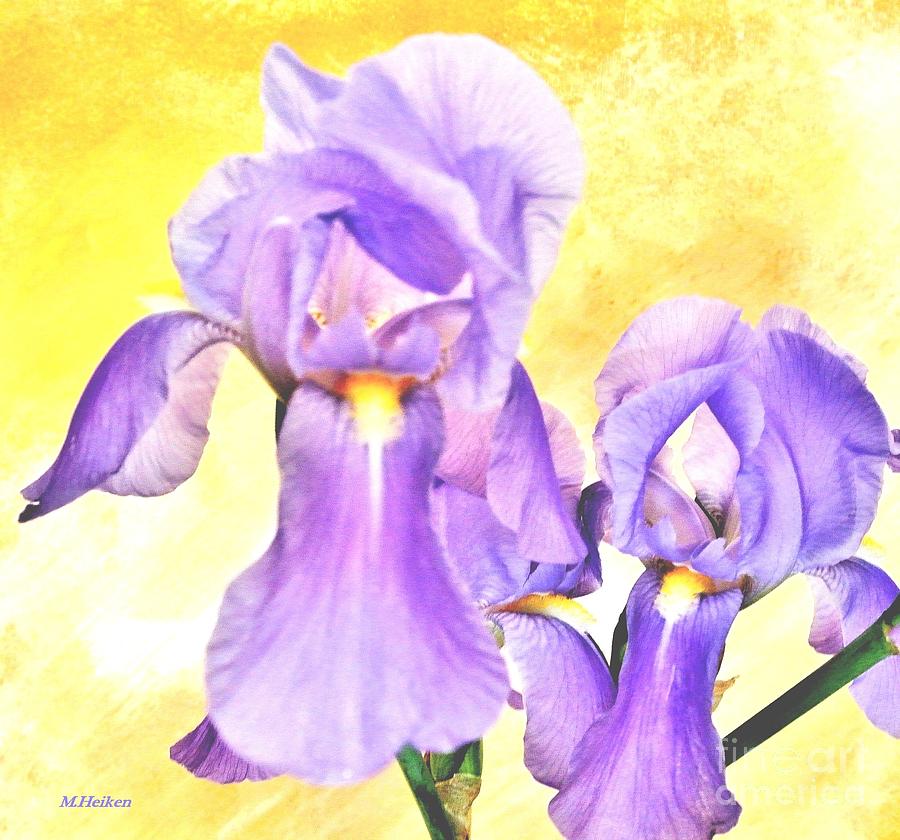 Spring Irises Mixed Media by Marsha Heiken