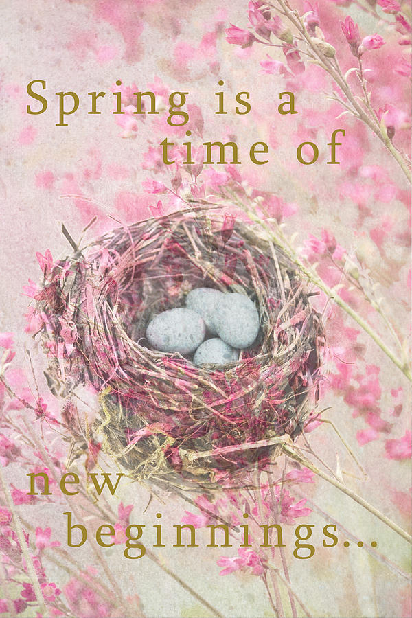 Spring Is A Time Of New Beginnings Photograph by Suzanne Powers