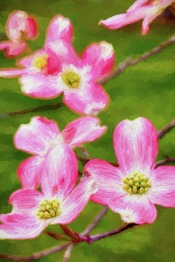 Spring is for Dogwoods AP Painting by Dan Carmichael