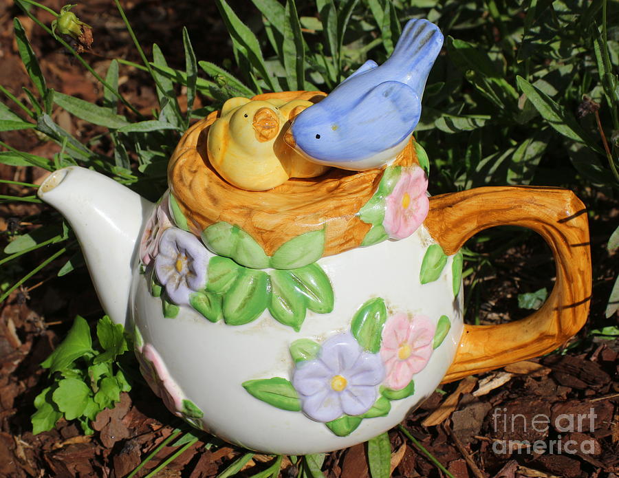 Spring Is Here - Teapot Photograph by Dora Sofia Caputo