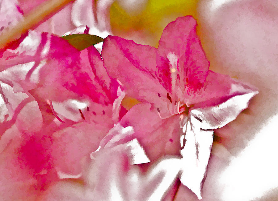 Spring is in The Air Digital Art by Ches Black