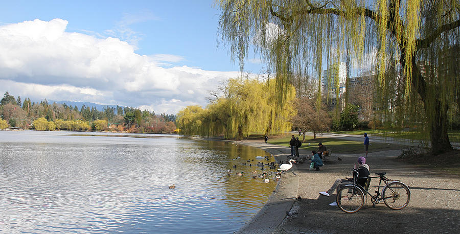 Spring is in the air  Stanley Park Vancouver Photograph by Pierre Leclerc Photography