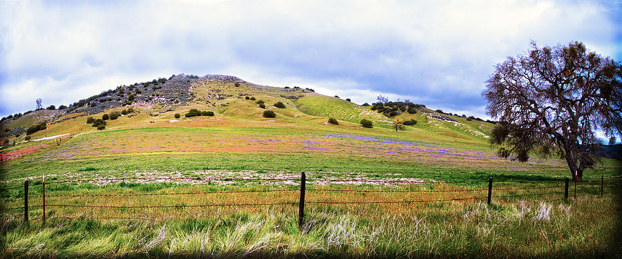 Spring Landscape Panorama Photograph by Lynn Bauer