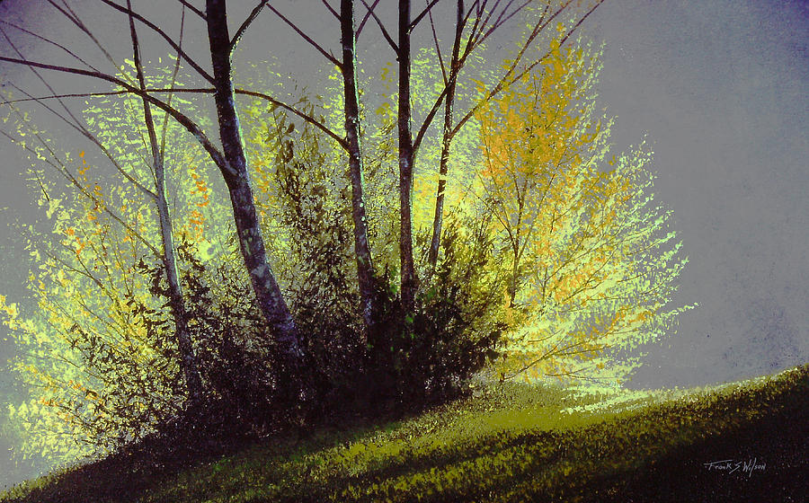 Spring Light Painting by Frank Wilson