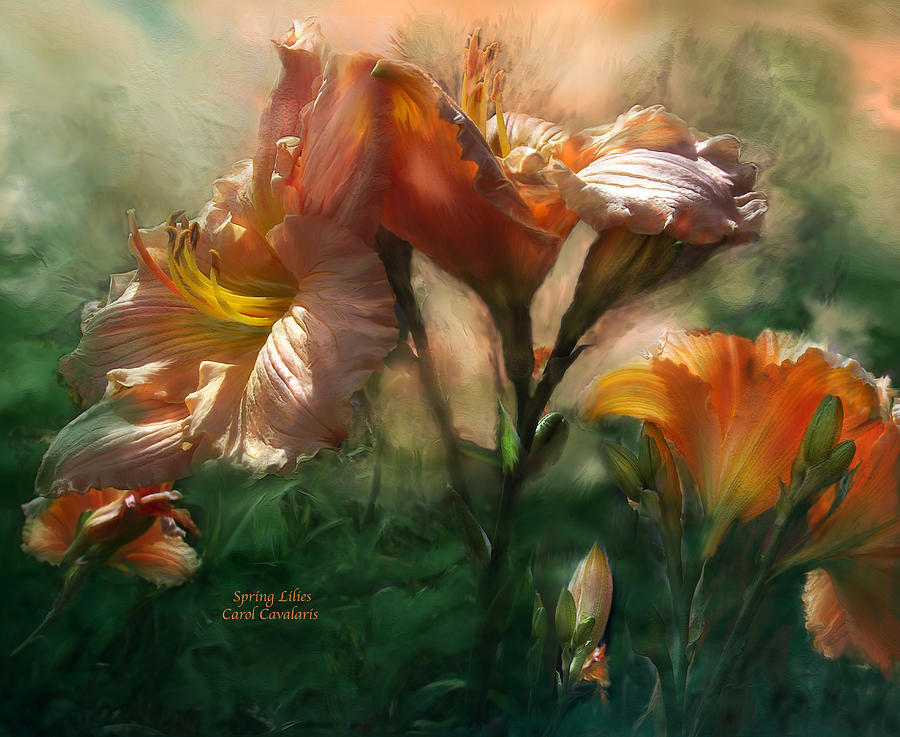 Flowers Still Life Mixed Media - Spring Lilies by Carol Cavalaris