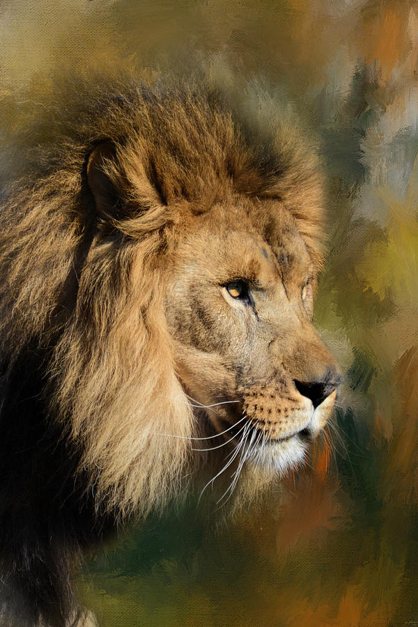 Spring Lion 2 Photograph by Jai Johnson