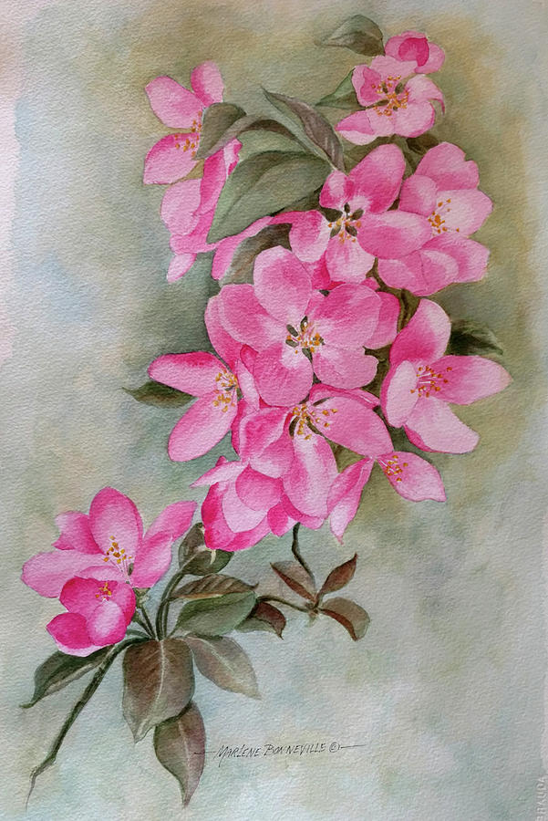 Flower Painting - Spring by Marlene Bonneville