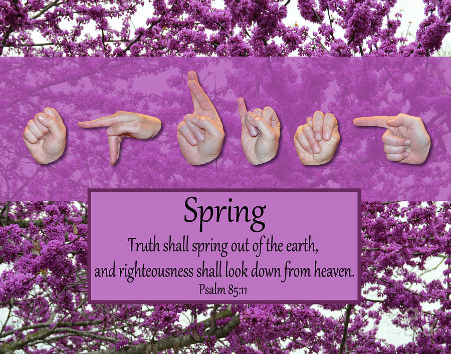 Christian Photograph - Spring by Masters Hand Collection Christian Photograph - Spring by Masters Hand Collection
