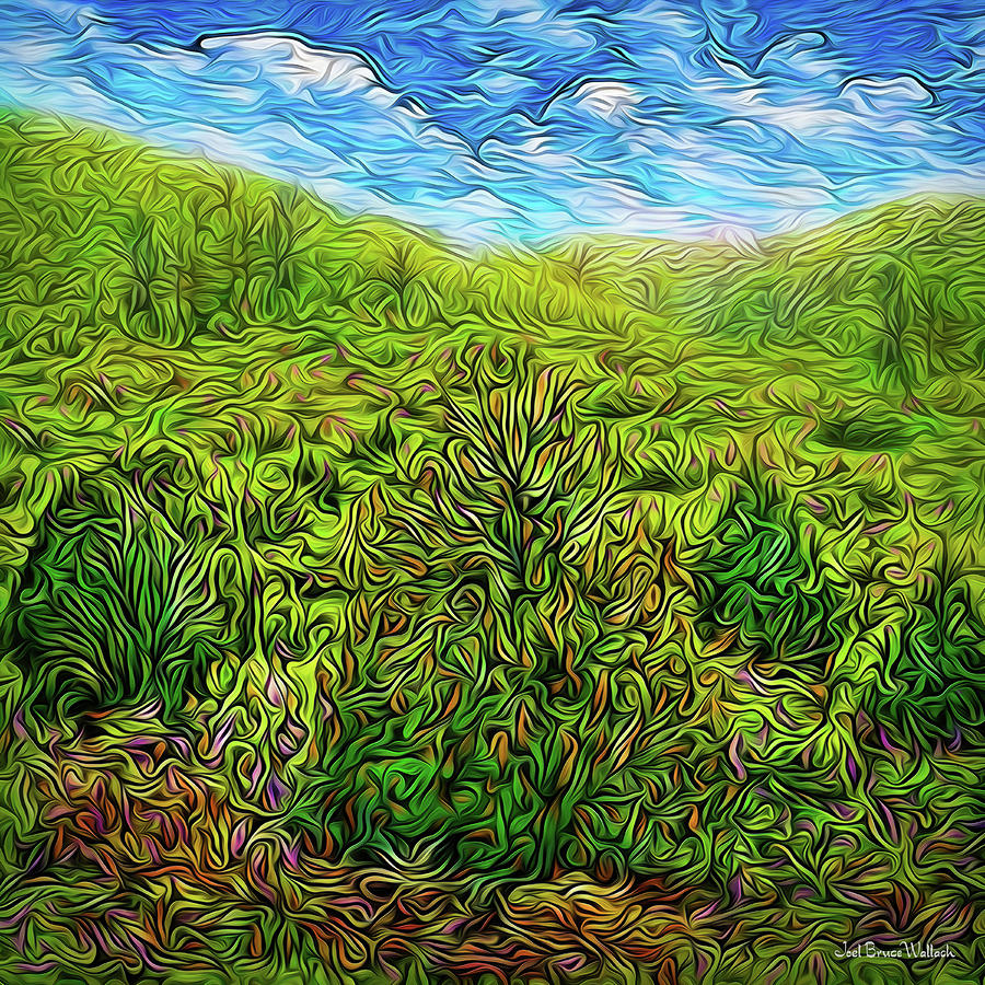 Spring Meadow Flow Digital Art by Joel Bruce Wallach