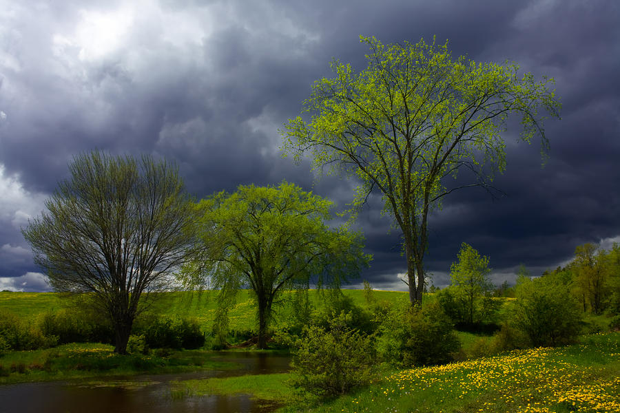 Spring Meadow Storm Light Photograph by Irwin Barrett