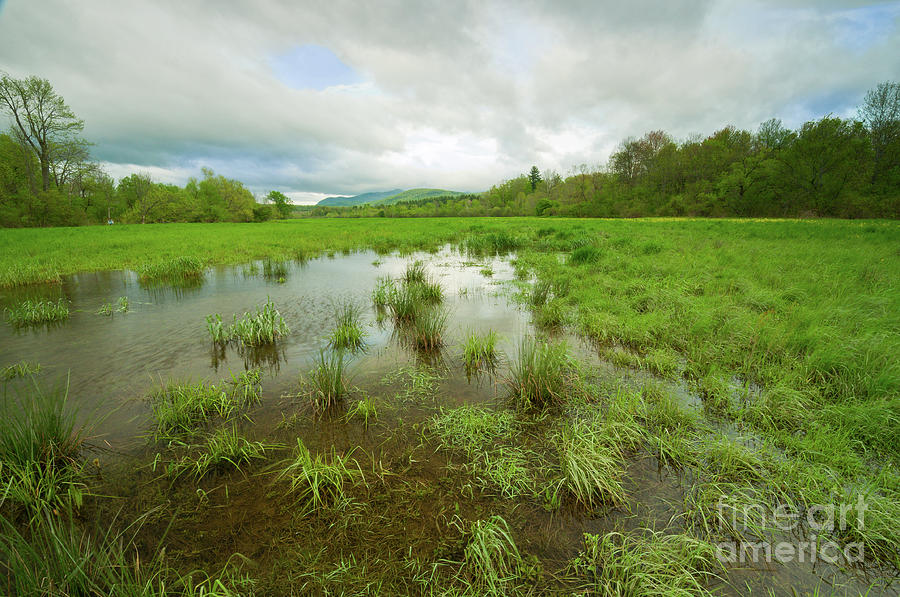 Spring Meadows of Castleton - Vermont Landscape Photograph by JG Coleman