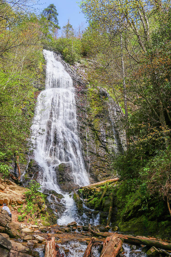 Spring Mingo Falls Photograph by Lisa Bell