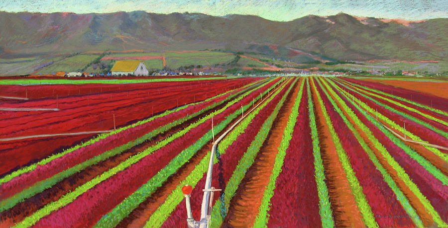 Monterey Pastel - Spring Mix Lettuce Fields by Rhett Regina Owings Monterey Pastel - Spring Mix Lettuce Fields by Rhett Regina Owings
