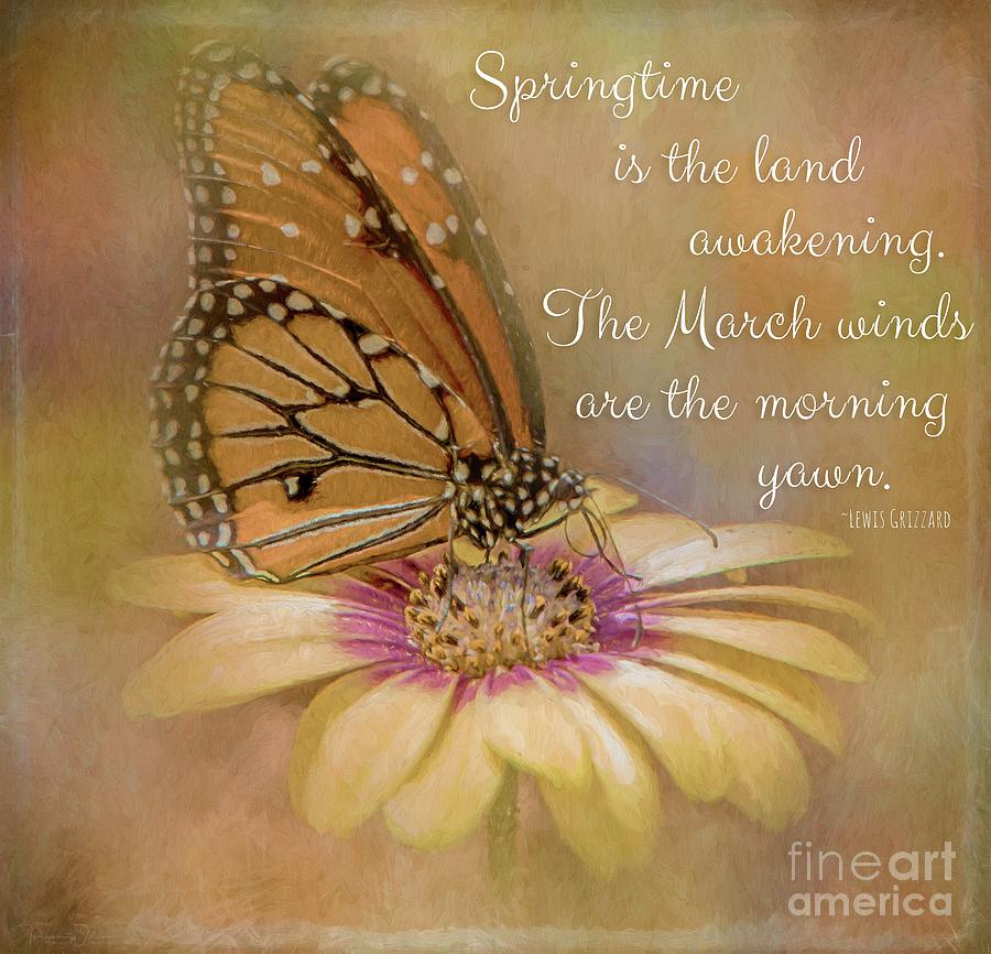 Spring Monarch on a Daisy Mum Photograph by Teresa Wilson