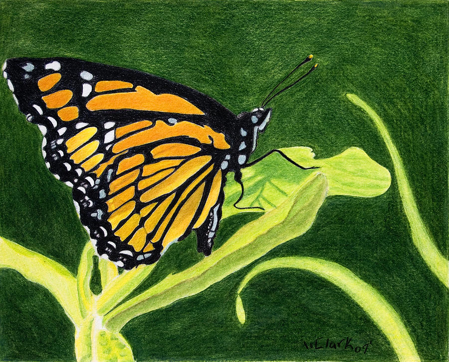 Spring Monarch Painting by Wade Clark