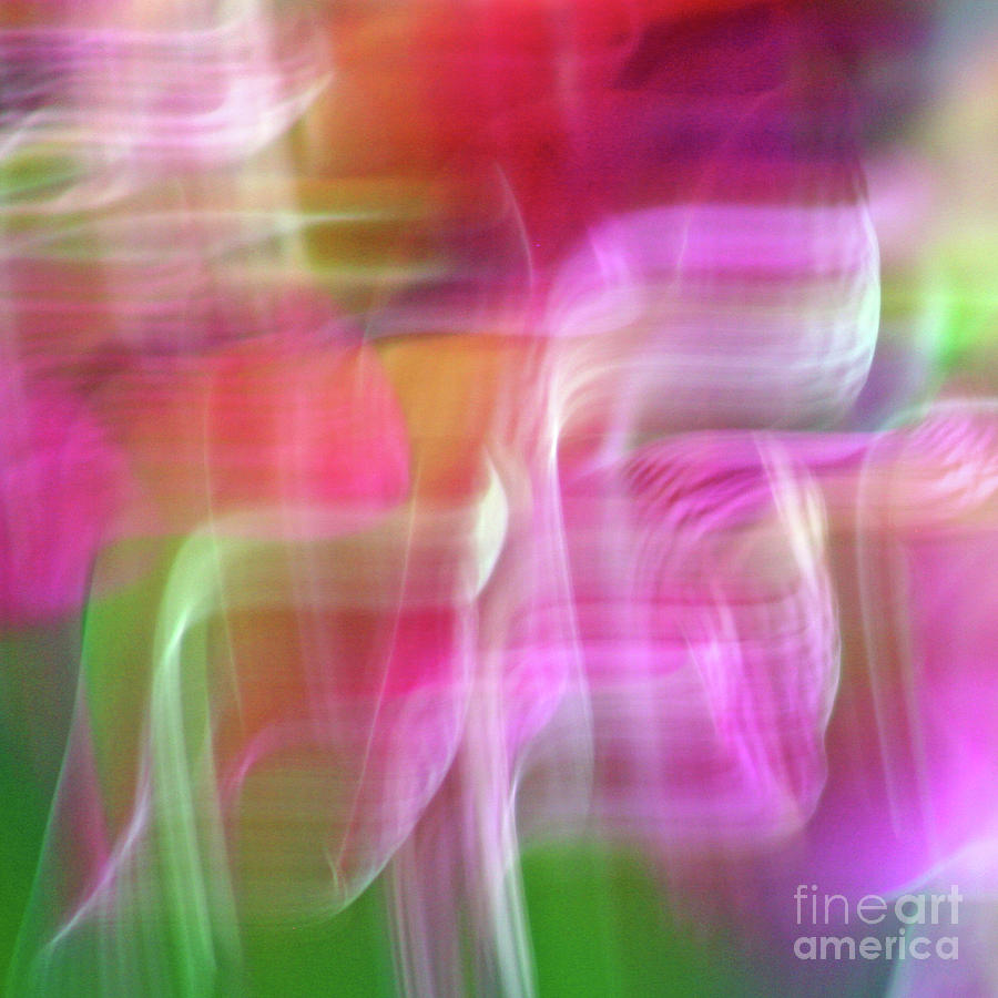 Spring Moods Abstract Square Photograph by Karen Adams