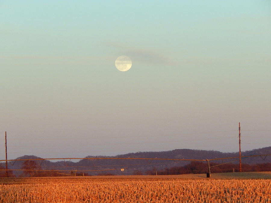 Spring Moon Trempealeau Photograph by Wild Thing