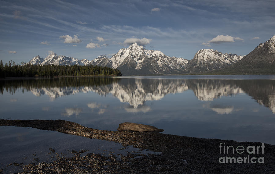 Spring Morning At Colter Bay - Grand Teton National Park Photograph by Sandra Bronstein