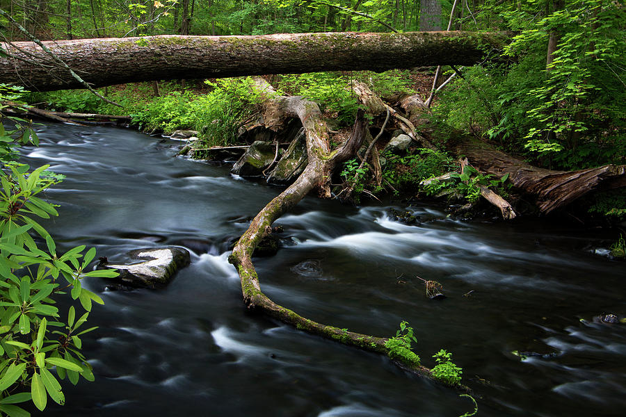 Spring Morning at Crum Elbow Creek I Photograph by Jeff Severson