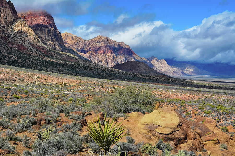 Spring Mountain Ranch Red Rock Canyon Photograph by Kyle Hanson - Fine ...