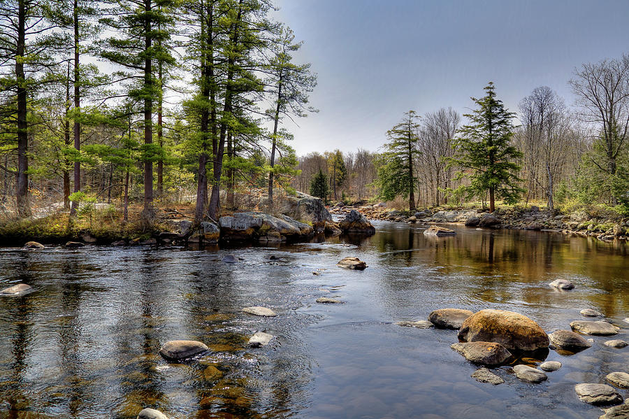 Spring Near Moose River Road Photograph by David Patterson