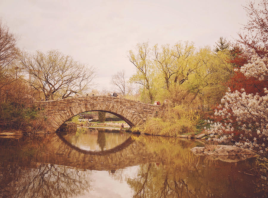 Spring - New York City - Central Park Landscape Photograph by Vivienne Gucwa