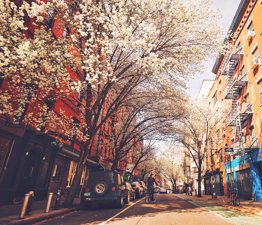 Spring - New York City - Lower East Side Photograph by Vivienne Gucwa