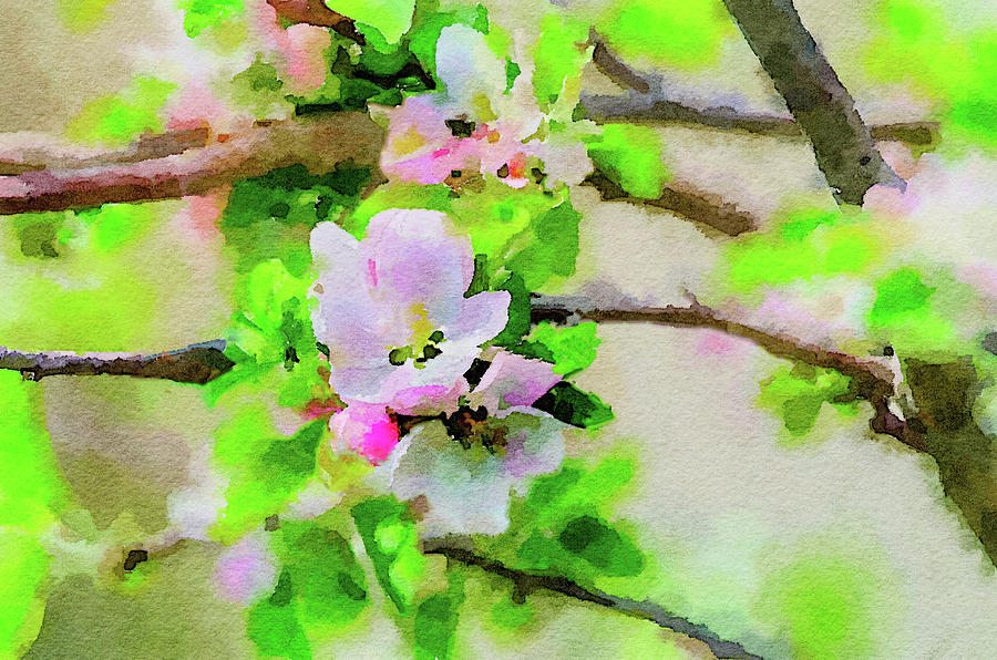 Spring on a Branch Painting by Steven Santamour