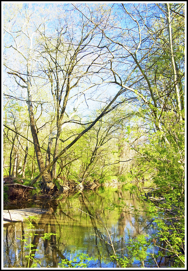 Spring on a Pennsylvania Stream, Fairmount Park, Philadelphia Photograph by A Macarthur Gurmankin