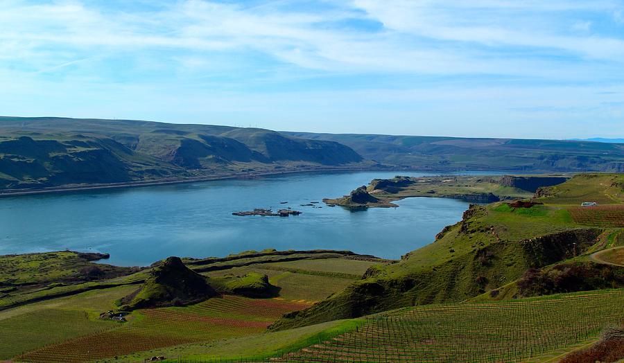 Spring on the Columbia Gorge Photograph by Lynn Hopwood
