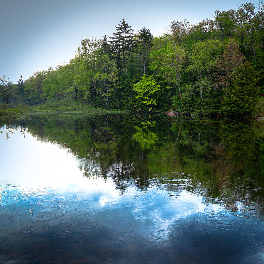 Spring on the Moose River Photograph by David Patterson