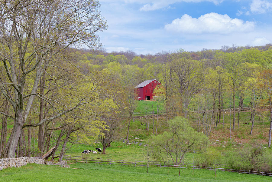 Spring Pasture New England Photograph by Bill Wakeley