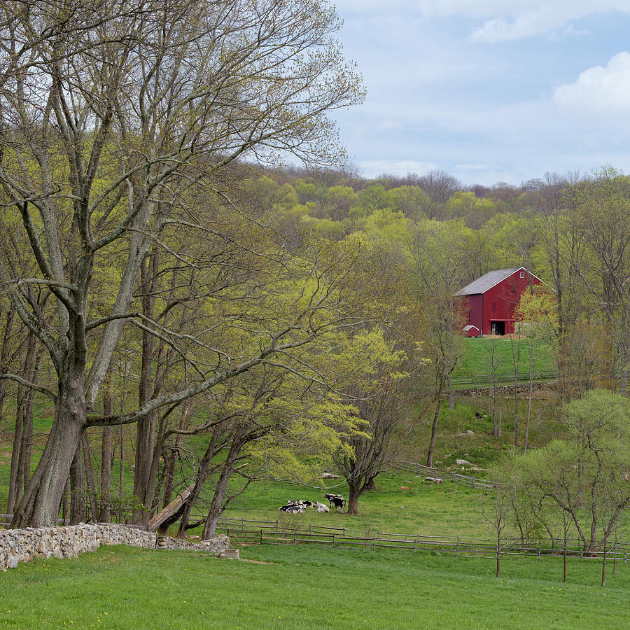 Spring Pasture New England Square Photograph by Bill Wakeley