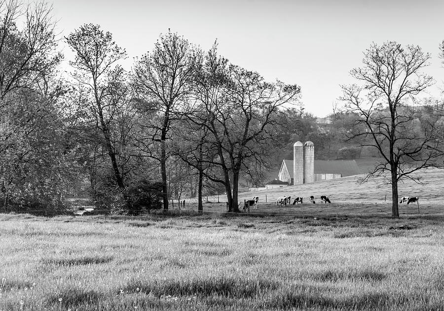 Spring Pastures Photograph by Andy Smetzer