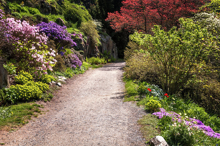 Spring Path. Old Rock Alpine Garden At Pruhonice Park 1 Photograph by Jenny Rainbow