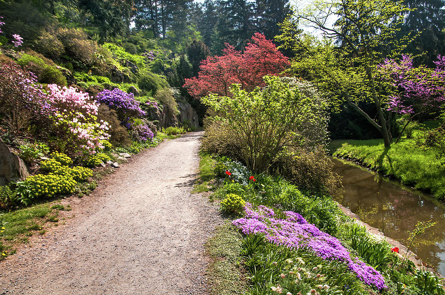 Spring Path. Old Rock Alpine Garden At Pruhonice Park 2 Photograph by Jenny Rainbow