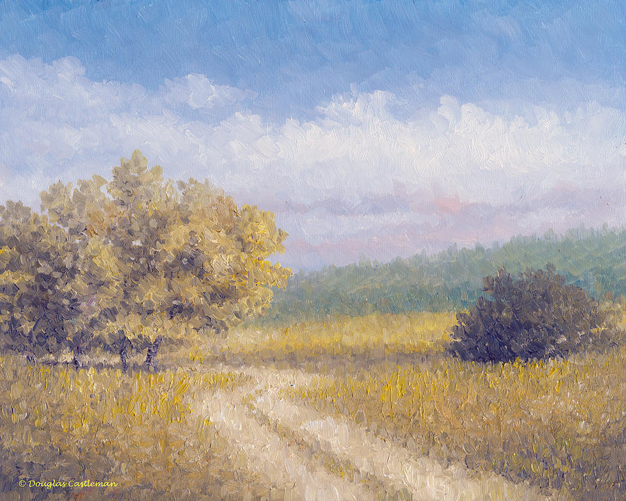 Spring Path Rancho Palos Verdes Painting by Douglas Castleman